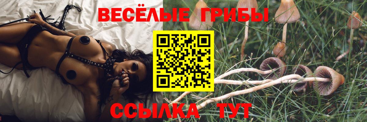 Галлюциногенные грибы Magic Shrooms  Вход с VPN  Обнинск 