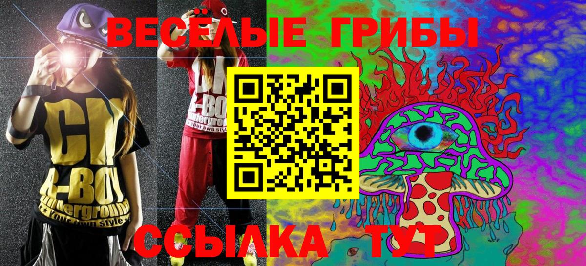 Псилоцибиновые грибы GOLDEN TEACHER Обнинск